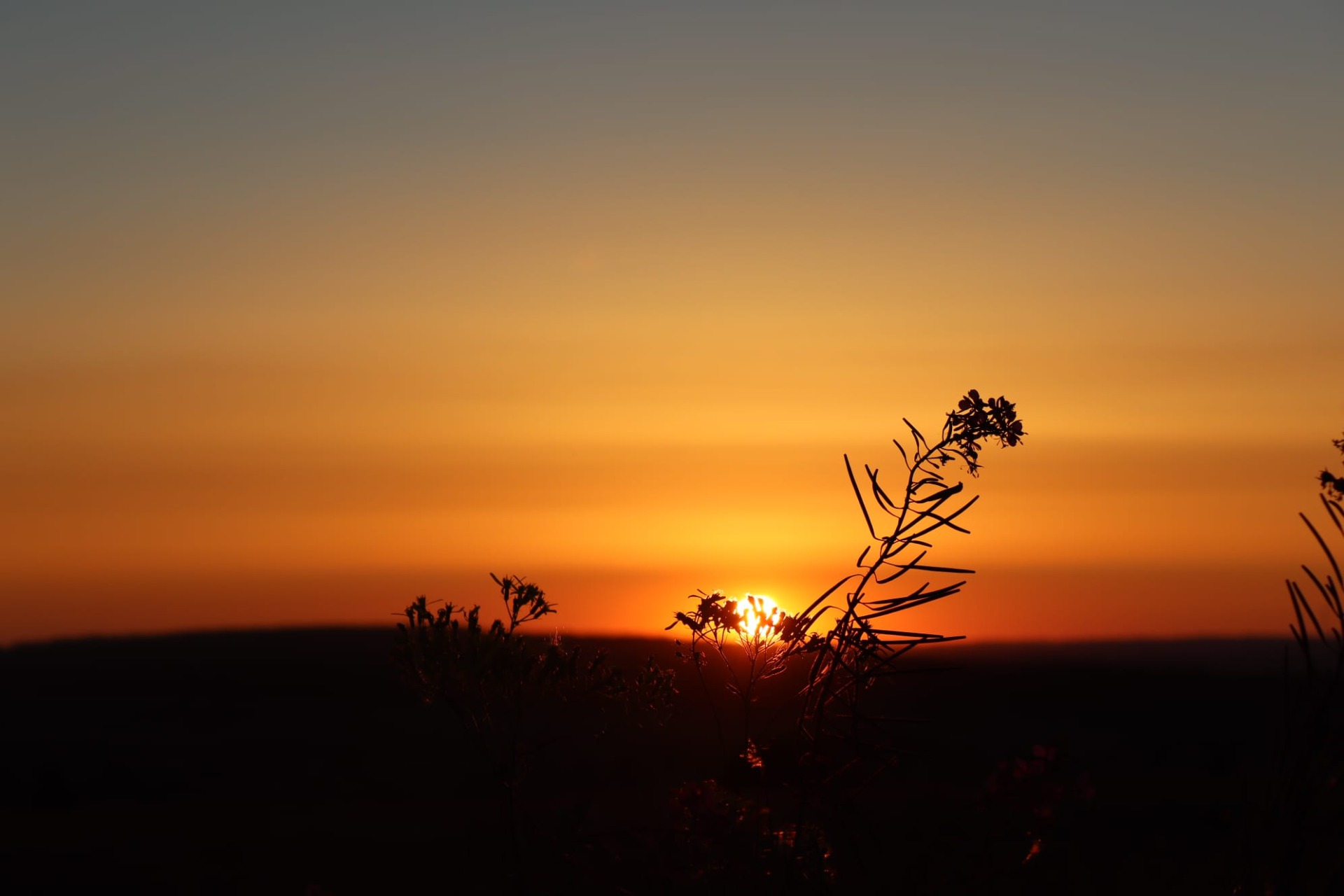 Zonsopgang zomer België '23